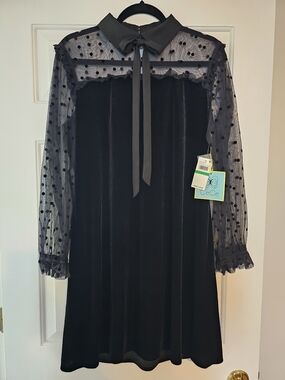 CeCe Black Velvet Dress with Sheer Polka Dot Yoke and Tie Collar
